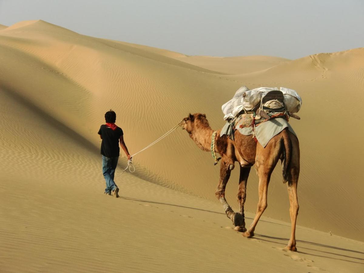 Luxury tent Desert Safari Camp Jaisalmer